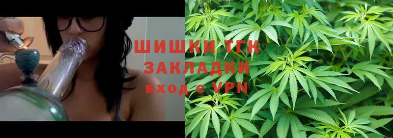 shop состав  что такое   Покачи  Бошки марихуана THC 21% 